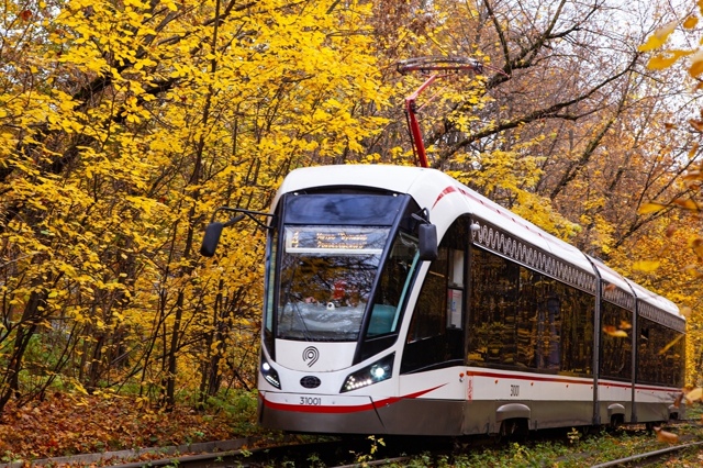 Золотая осень прощается с Нами, следующая остановка зи...