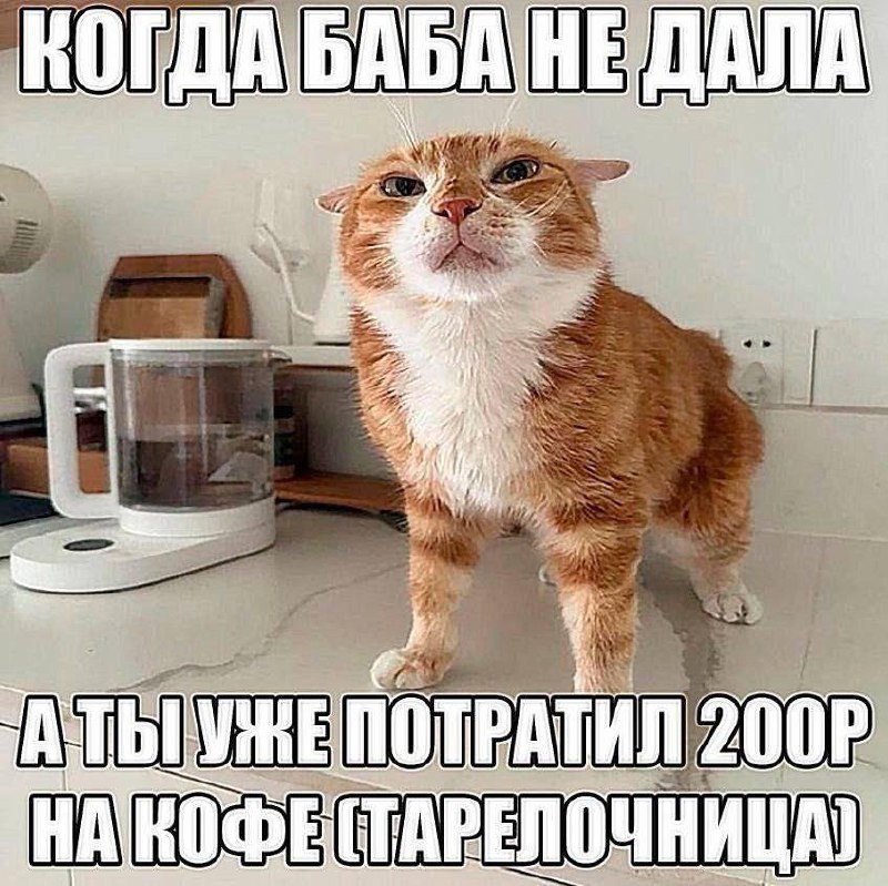 Утренняя подборочка