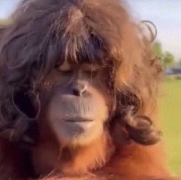 Сценическое произведение в двух действиях