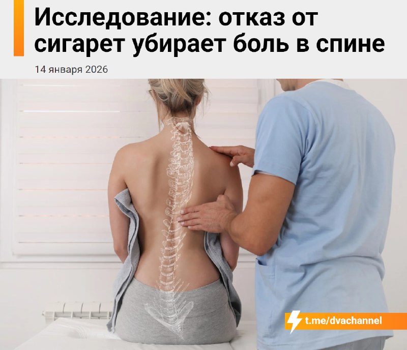 Если бросить курить, спина станет болеть гораздо меньше, показало исследование
Учёные доказали, что