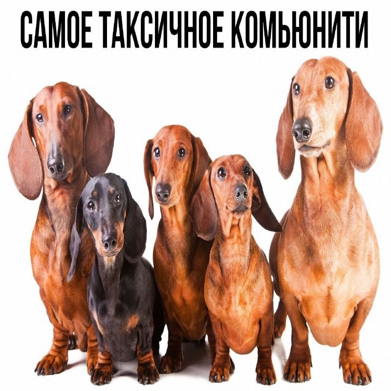 Утренняя подборочка