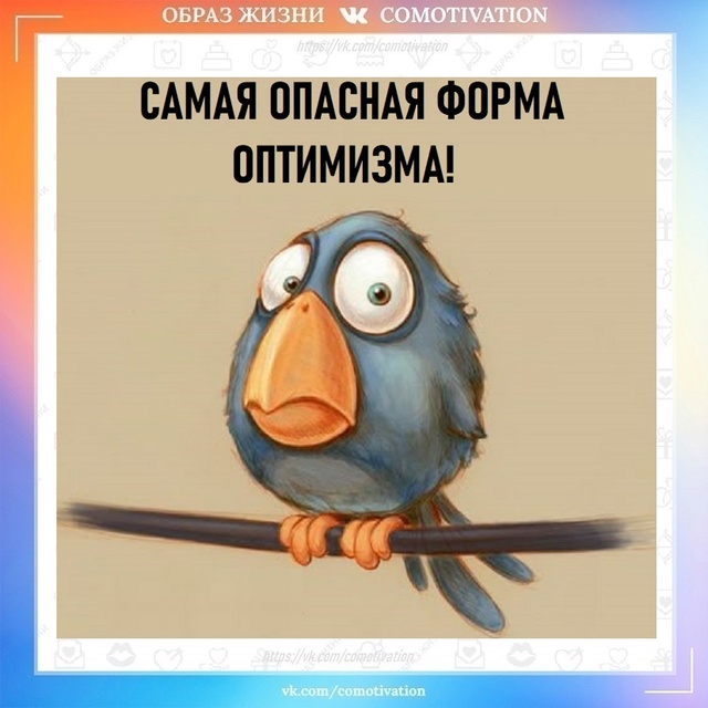Оптимизм на высоте.