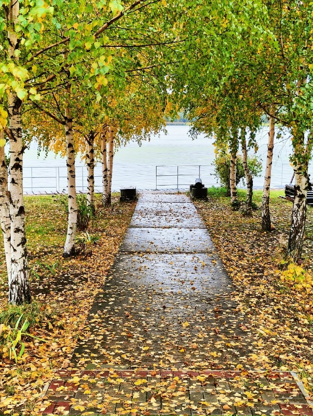 Кто куда в дождливую погоду, кому грибы или дома отдохн...