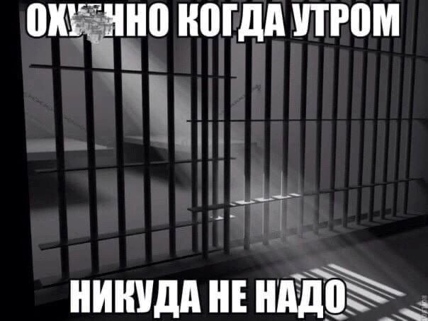 Утренняя подборочка