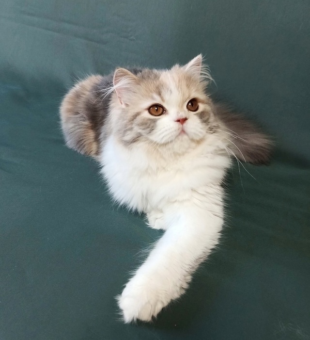 Наша прирожденная фотомодель, наша маленькая принцесс...