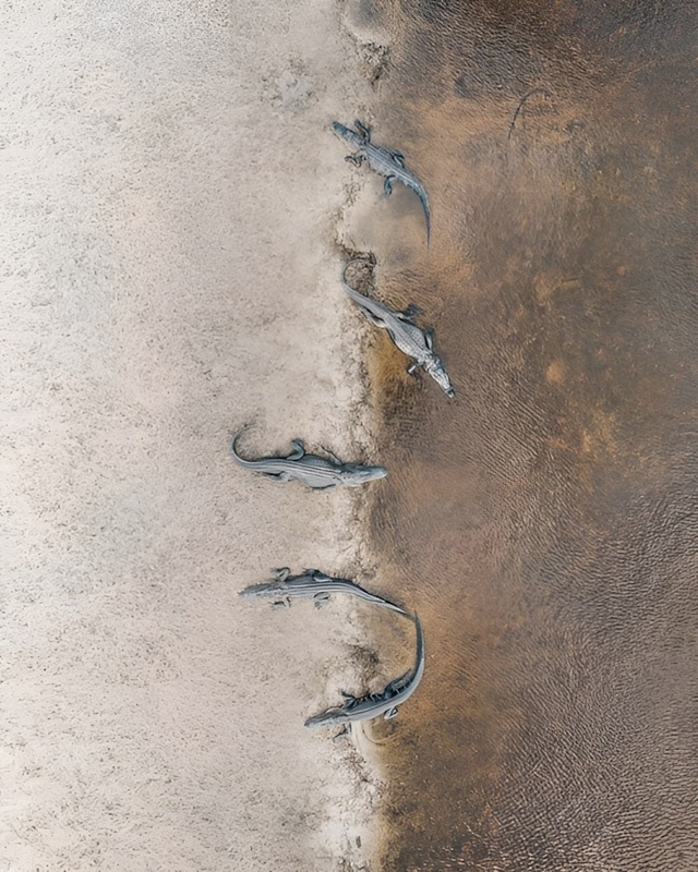 Гипнотические фотографии с дронов от автора Abstract Aerial Ar...