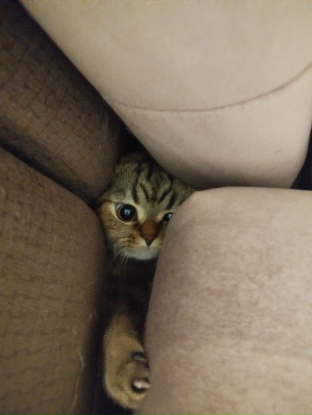 Кажется я застряла 😻