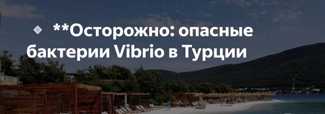 В турецких курортах нашли опасные бактерии Vibrio — вызы?...