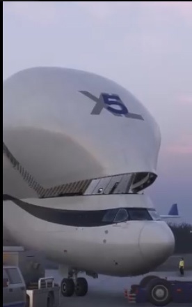 Airbus Beluga (модель A300-600ST) — это грузовой реактивный самол?...