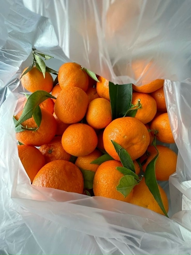 Уже скоро 🥰 чувствуете запах через экран?