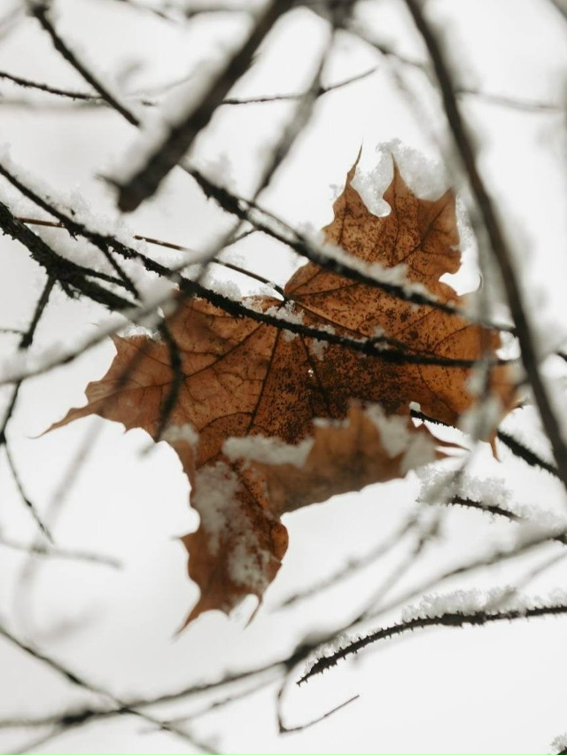 ❄️Заснеженные дворы Екатеринбурга