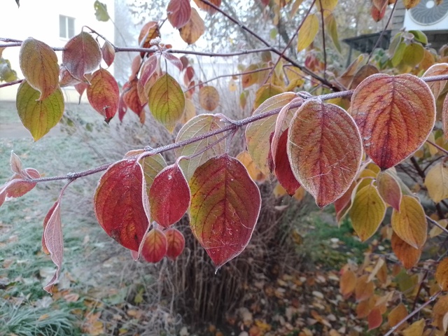 Зима как бы намекает...