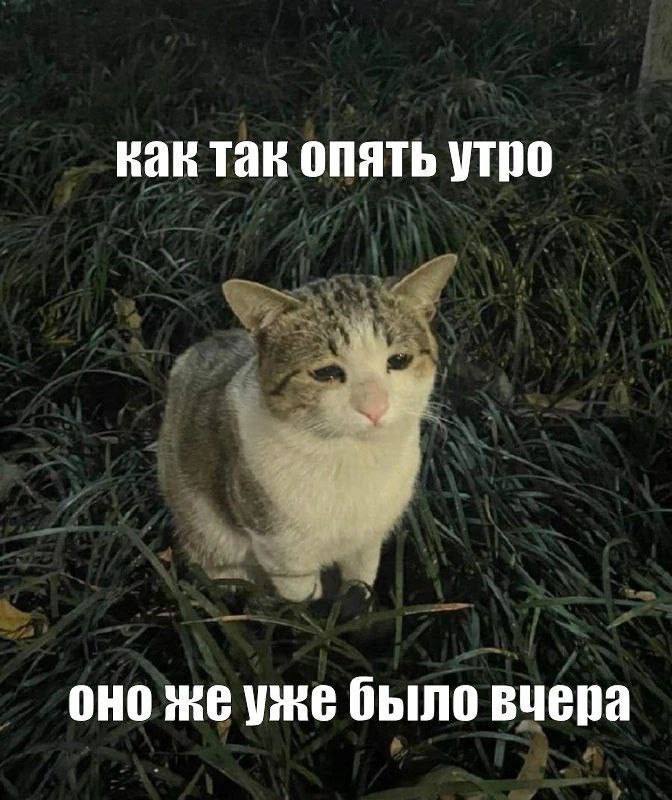 Утренняя подборочка