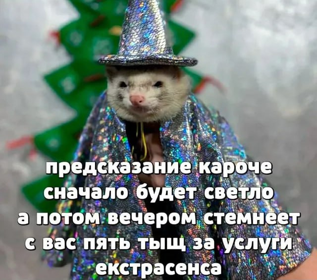 Утренняя подборочка