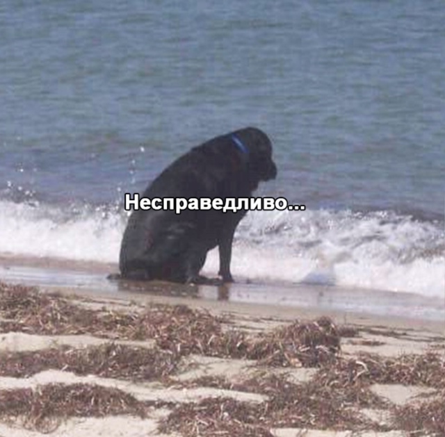 И так уже 10 лет