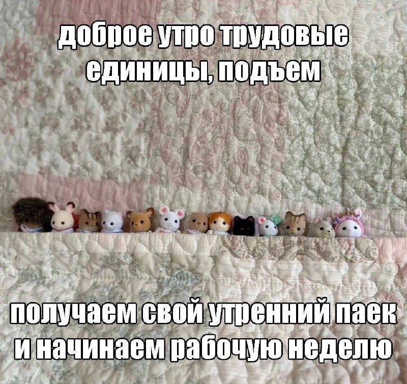 Утренняя подборочка