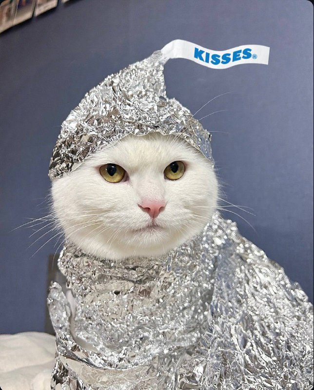 Инопламтяне не прочитают мои мысли (их нет)