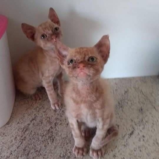 Хорошо, что на нашей Земле, есть ещё такие Добрые люди ??...