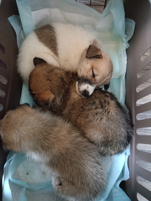 Опубликуйте, пожалуйста 🙏
Подскажите, пожалуйста, кон...