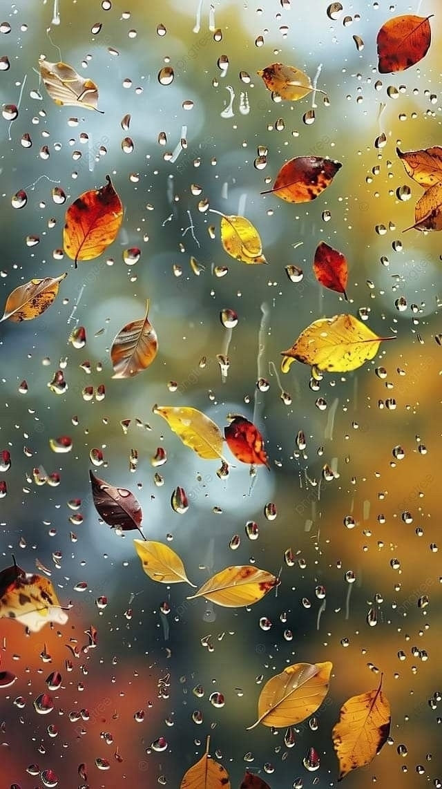 Чужой жених
Автор: Записки сельского фельдшера
Была ...