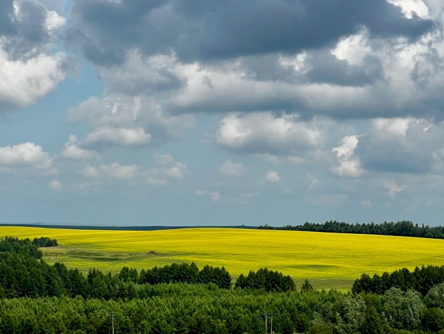 Доброе утро ⛅
Фото: Татьяна Сабанцева
