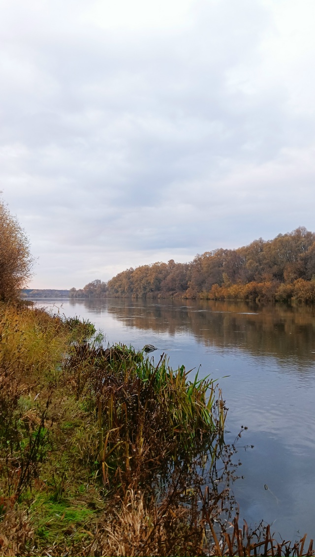 Всем Добрый Осенний привет🍂🍂