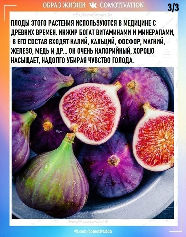 Любопытный факт
