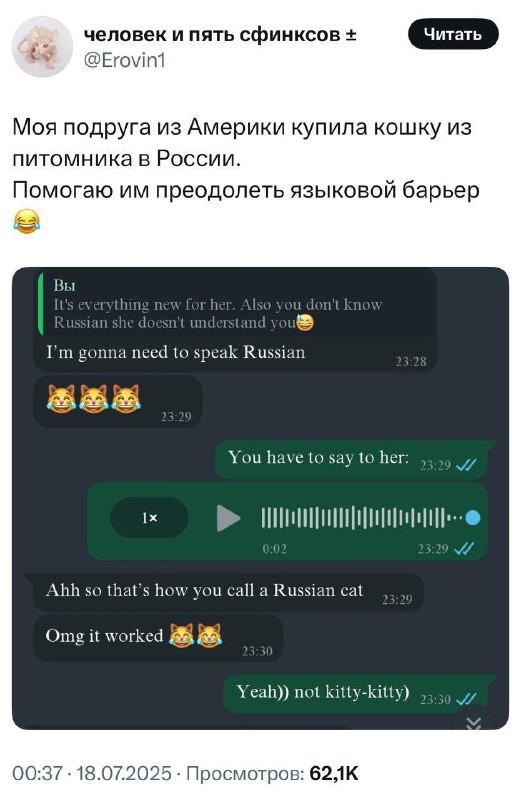 Американка столкнулась с языковым барьером… у кошки.
Новая пушистая подруга, выросшая в России, иг