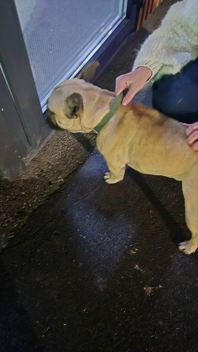 Пожалуйста, срочно опубликуйте! Найден французский бу?...