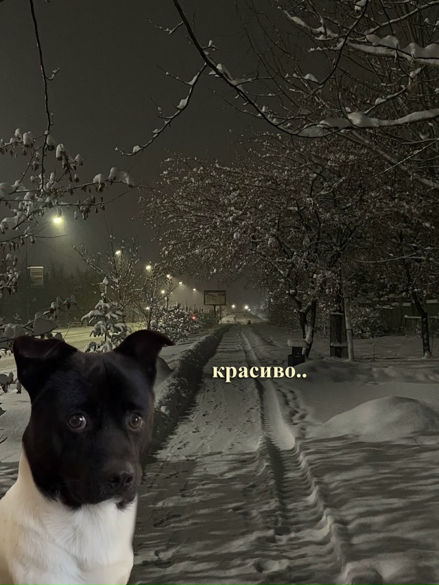 Чисто я: