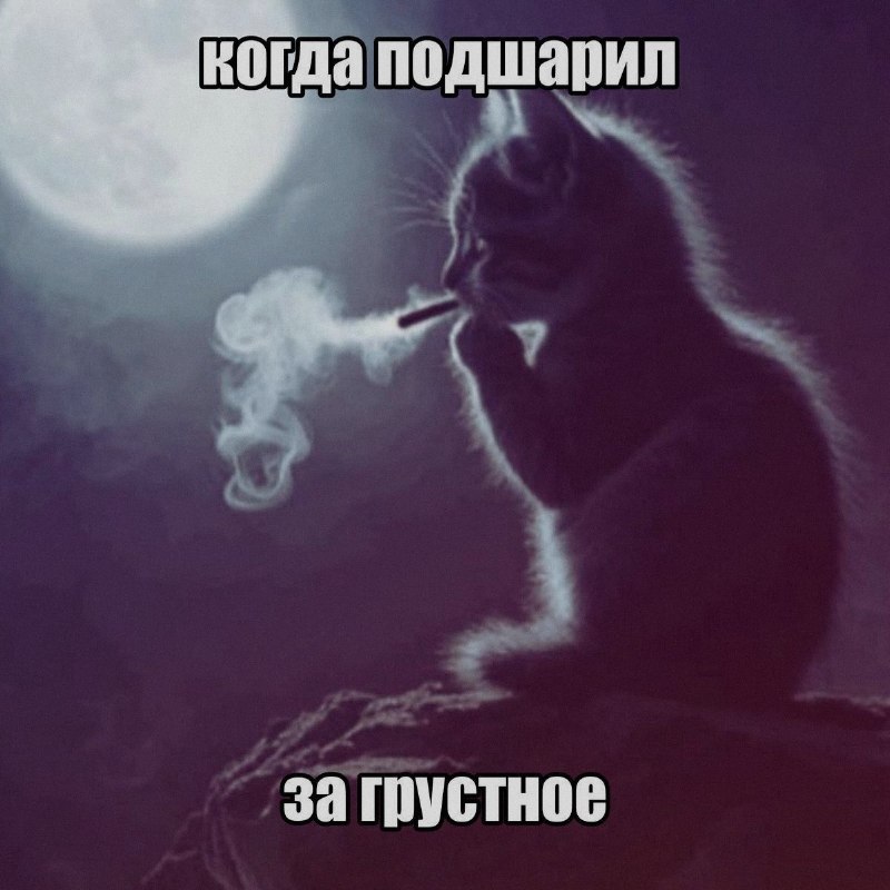 Ночная подборочка
Спать, режим