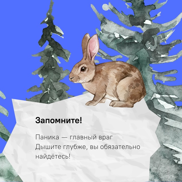 В Костромской области начали пропадать грибники…
Люб...