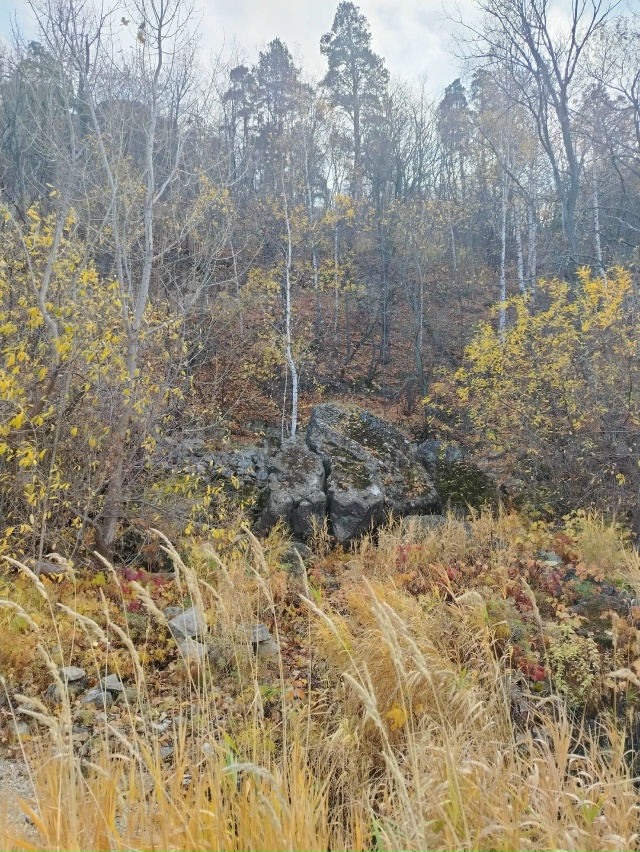 Пусть положительные эмоции наполняют вас, осенние кра?...