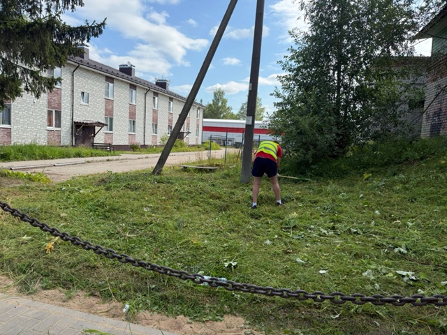 Ребята из трудовой бригады ударно поработали на благо ...