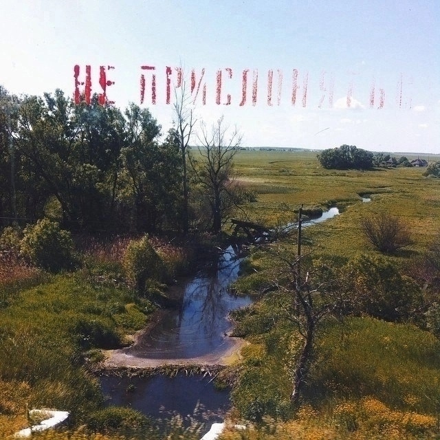 Вид из электрички из лета в зиму