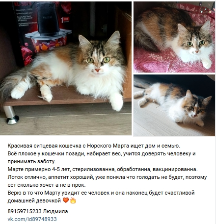 Пост добра. Распространите, пожалуйста.
уважаемые жит...