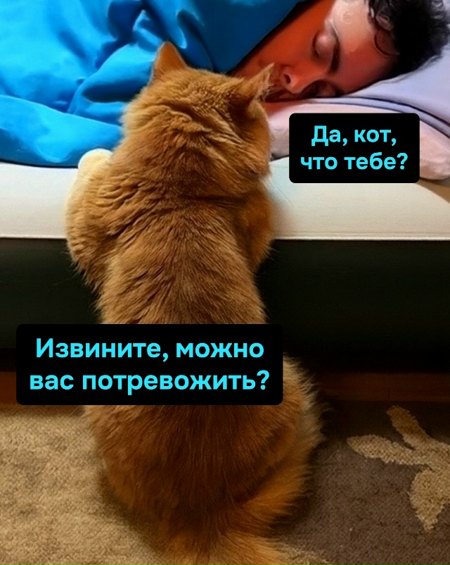 Кошачья миссия выполнена: хозяин разбудился, сон испор...