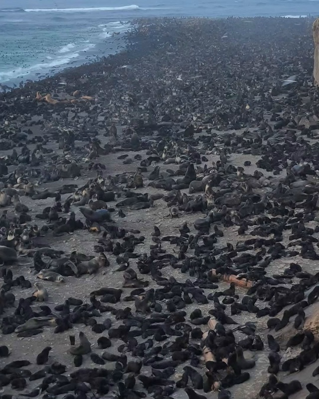 Остров Сахалин 🇷🇺