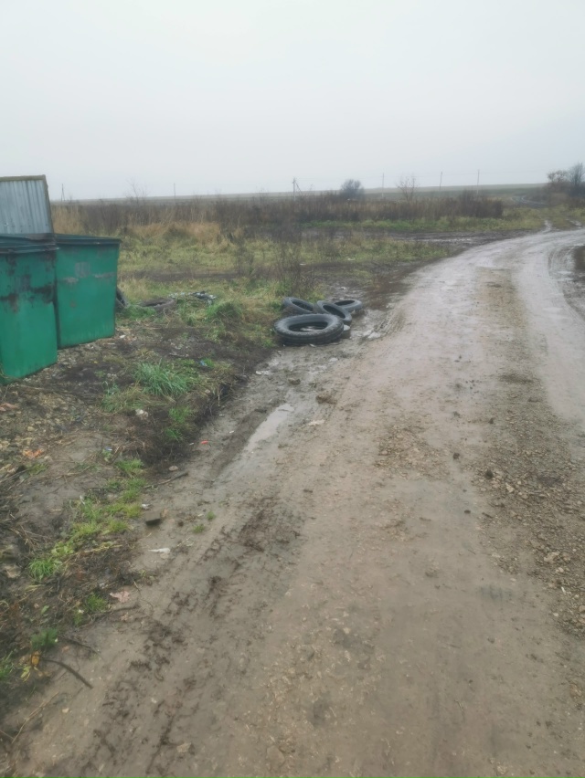 В деревне РОМАШКИНО по переулку Луговой мусор лежит уж...