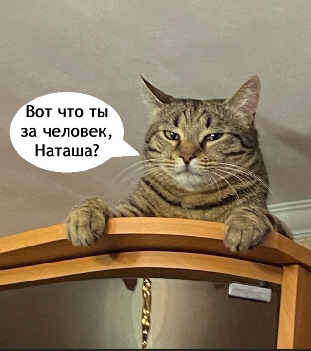 Нет в этом мире справедливости