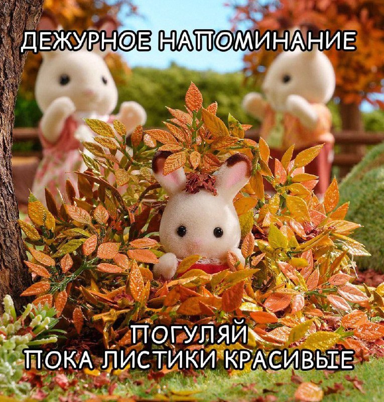 Утренняя подборочка