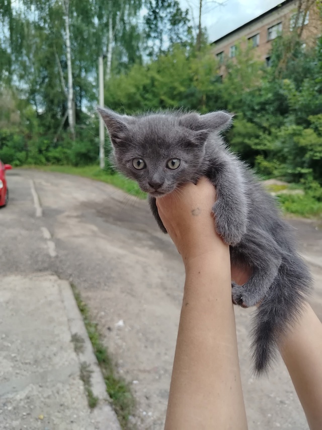 Здравствуйте. Хочу обратиться к не людям, которые сего?...