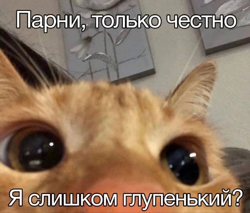 Утренняя подборочка