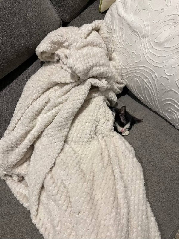 Слатких снов :3