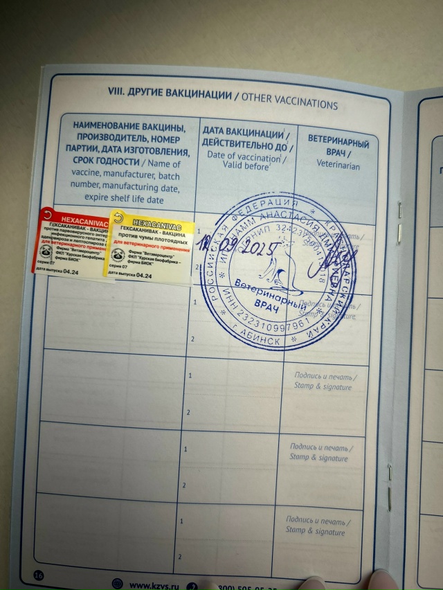 Вот такая красотка ищет дом❤️
Ей 8 месяцев.
Недавно с?...
