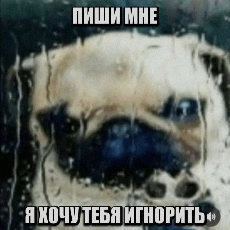 Утренняя подборочка