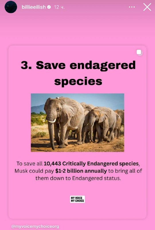 «Чертов жалкий трус сука».
Билли Айлиш обозвала Илона Маска «жалким трусом» за то, что он копит св