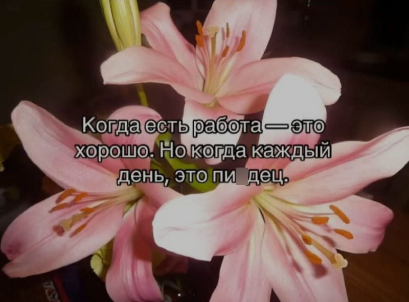 Ночная подборочка
Спать, режим