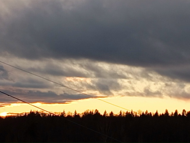 В ноябрьском закате - вся палитра уходящей осени...(25.11.25...