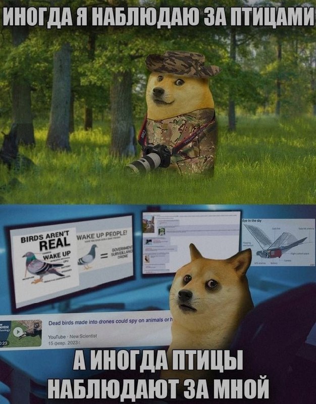 Ночная подборочка
Спать, режим